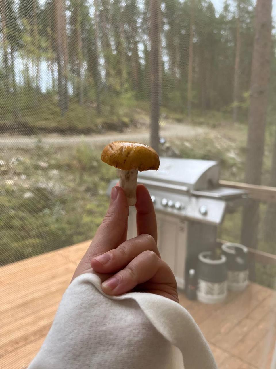Alaska Tree Tents Linnansaari * Savonlinna